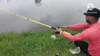 fuloot fishing komalcarp fish #N fishing s video subscribe plz YouTube channel #amazingfishingvideo