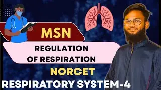 Regulation Of Respiration 🫁 Norcet| Aiims,RRB |#norcet #aiimsnursingofficer #nprcet #bscnursing