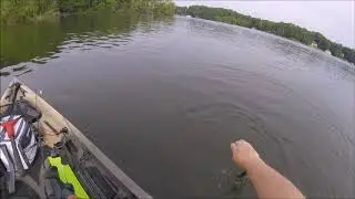 Sampling from an Epic Bass weekend at Lake Anna, VA.