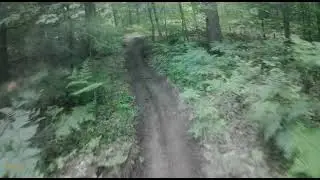 Great ride on a OFTR trail