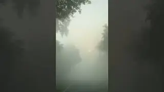 Foggy Morning Travel || Bihar Roads ||
