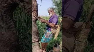 #village agriculture #image