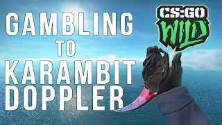 Gambling to a Karambit Doppler (CSGO Wild Gambling)