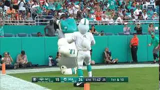 Dolphins' mascot bounces on head multiple times for fans