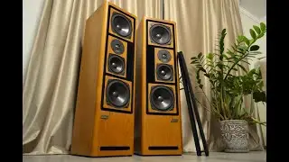 ASW CANTIUS ML V  (demo)