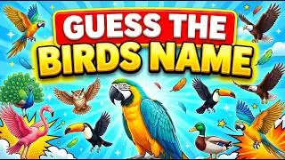 Identify These Birds? 🐦 | 120 Bird Names Quiz Challenge