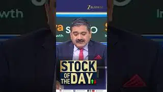 Stock of the Day, Anil Singhvi  Strategy on Indigo, IREDA, DMart