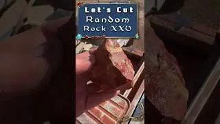Jasper with Quartz Stripes: Stunning Rock Cutting #25