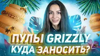 🐻 Стратегии инвестирования в пулы Grizzly | Заморозка $GHNY &mdash; бонус до +70% к APR