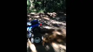 220 Yamaha Dirt Burnout
