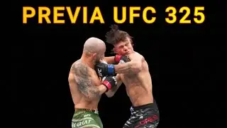 PREVIA UFC 325