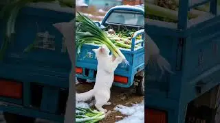 Unexpected Cat Hero Saves the Day!