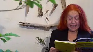 Literatur f&uuml;r Kinder Teil 4, Die schusselige Geburtstagsfee