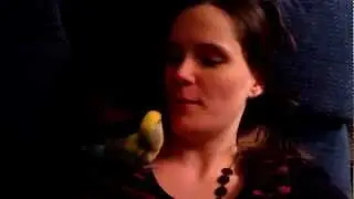 Impromptu Lovebird Silliness