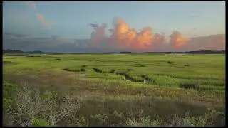 Stokes Landing Conservation Area