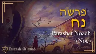 Parashat Noach (Noé) - 5783