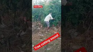 Tree cutting sound