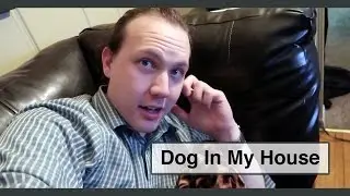#992 | Dog In My House