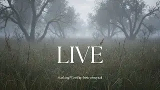 Soaking Worship Instrumental - Bible Quotes - LIVE