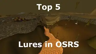 Top 5 Most Common Lures in OSRS