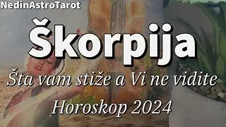 Škorpija ♏️ “Vaša nova ljubavna priča ❤️” Čitanje za 2024