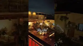 best byob in gurgaon | hacha gurgaon | nightlife in delhi ft. taras Jasmine #dance #shorts #gurgaon