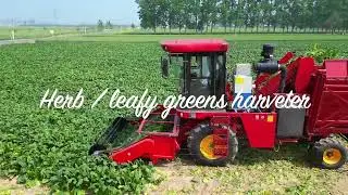 aromatic herb harvester Mint Parsley rosemary spinach camomile stevia reaper