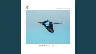 Flight (Radio Cut)