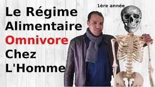 Le régime alimentaire omnivore chez l'Homme 1AC