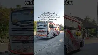 #miramania #ekamira #busjatim #busjatimlovers #trending