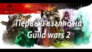 Первый взгляд на Guild Wars 2, 2018 год