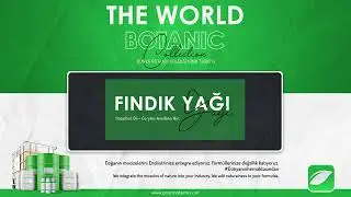 Pharmaterm - Fındık Yağı (Hazelnut Oil / Carrier Oil)