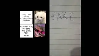 #cat #Fake #viralshorts