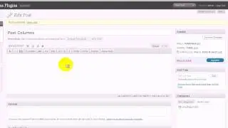 015-use-wp-post-columns-in-post.avi