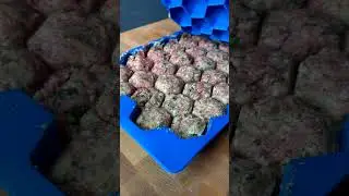 Meatball Master: The Ultimate Meatball Maker and Freezer Container