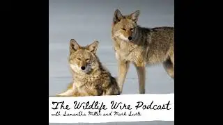 Talking State Wildlife Agencies w/Dr. Michelle Lute