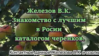 Железов В.К. Знакомство с лучшим в Роcсии каталогом черенков.