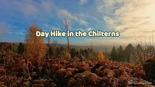 Day Hike in the Chilterns in Autumn