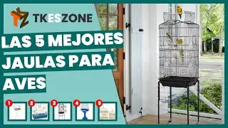 Las 5 mejores jaulas para aves