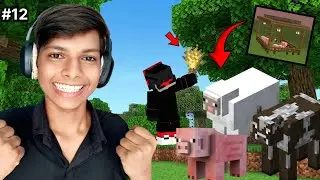 Finally I make Animal Farm in Minecraft 🚀| 