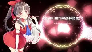 Nightcore- NCS Mashup