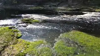 Little Shoals at 50'