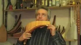 Ulrich Herkenhoff plays Hora Staccato