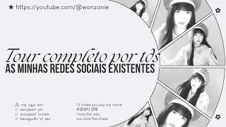 ‧₊˚ ✦  tour por todas as minhas redes sociais existentes  ꒱