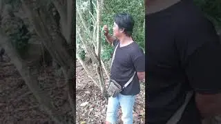 tukang rumus togel(3)