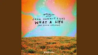 What A Life (Extended Mix)