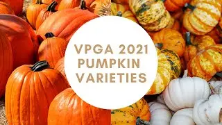 Pumpkin Varieties: Virginia Pumpkin Growers Association - Annual Meeting 2021