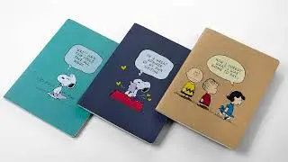 Peanuts Collection 2025
