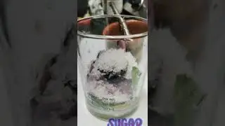 Jamun Mojito Recipe | Mojito Recipe | Jaamun Mojito | Easy to Make Mojito | Jamun Flavor Mojito