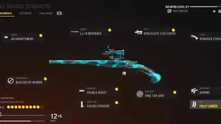 The new nerf double barrel shotgun in vanguard